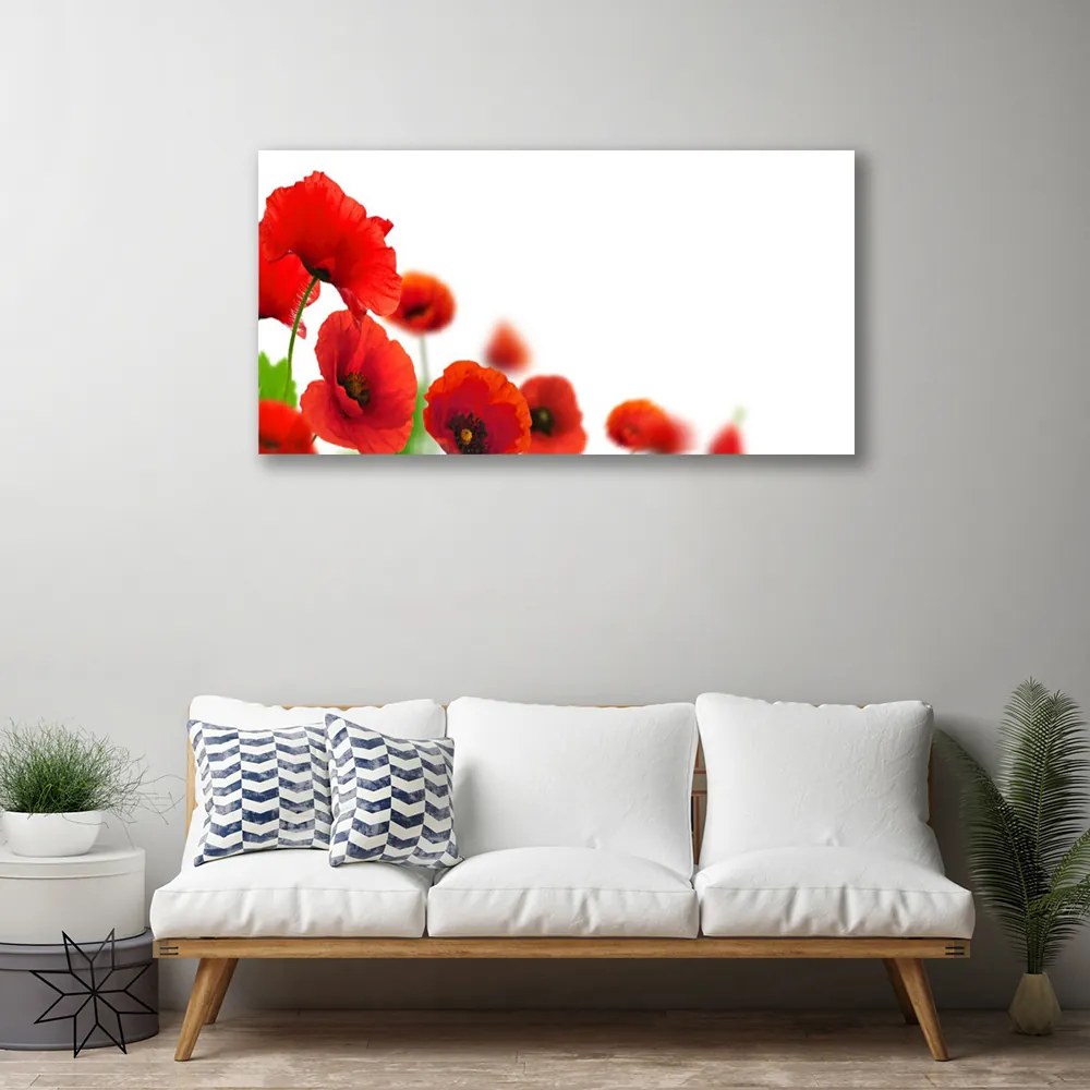 Zdjęcie na płótnie Czerwone Maki w Słońcu