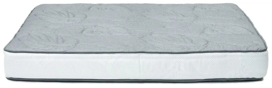 Twardy/średnio twardy piankowy materac 100x200 cm Sleepy Aura – Bonami Selection