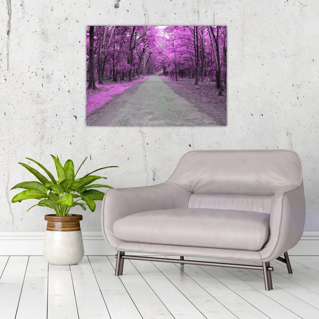 Obraz na szkle - Ścieżka przez park (70x50 cm)