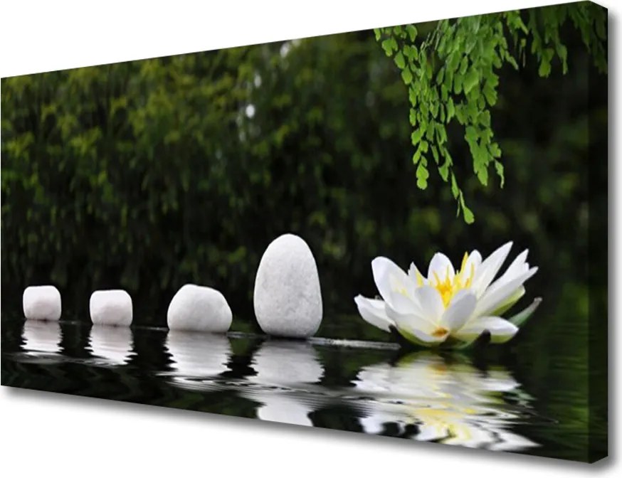 Zdjęcie na płótnie Lilia Wodna na Jeziorze