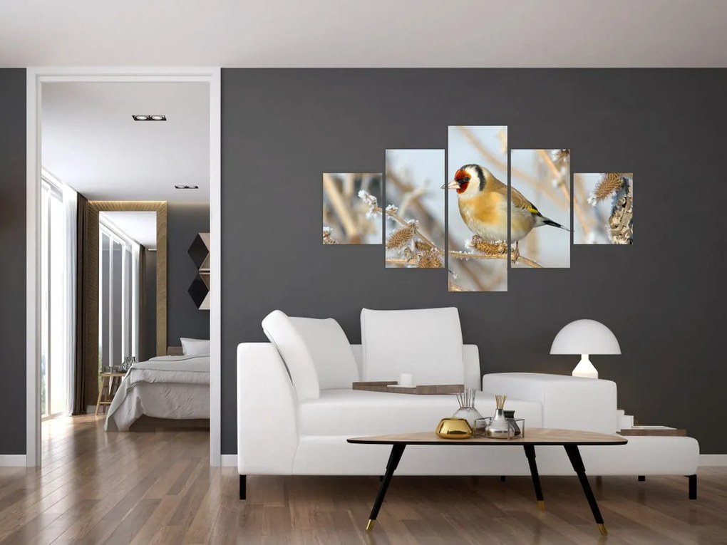Obraz - Szczygieł (125x70 cm)