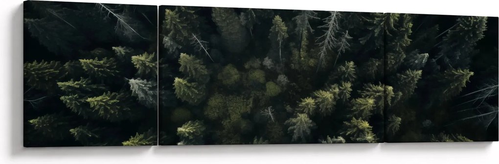 Obraz - Las (170x50 cm)