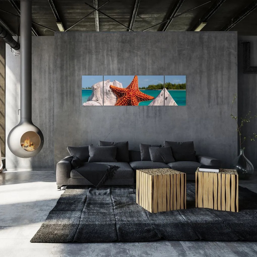 Obraz rozgwiazdy (170x50 cm)