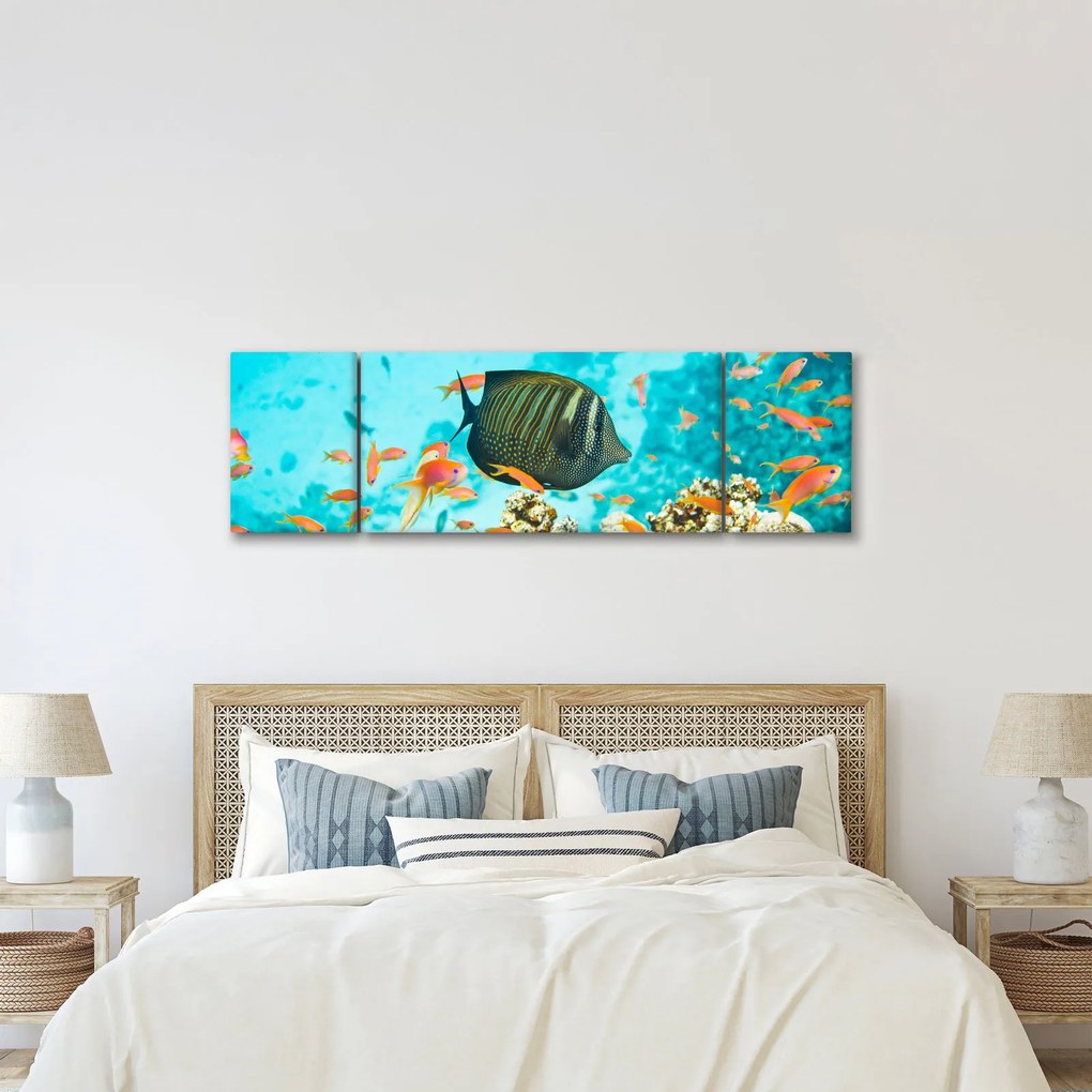 Obraz podwodnego świata (170x50 cm)