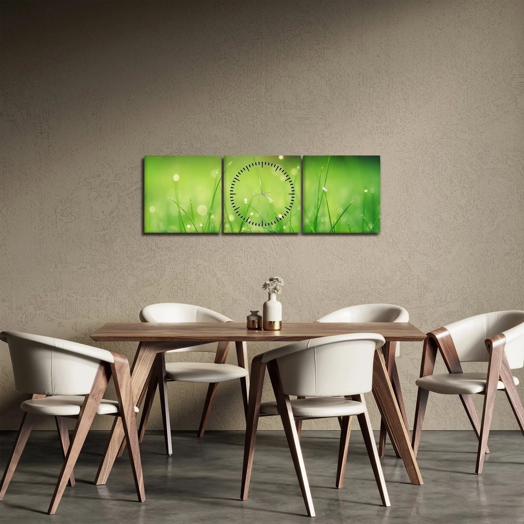 Obraz - rosa na trawie (z zegarem) (90x30 cm)