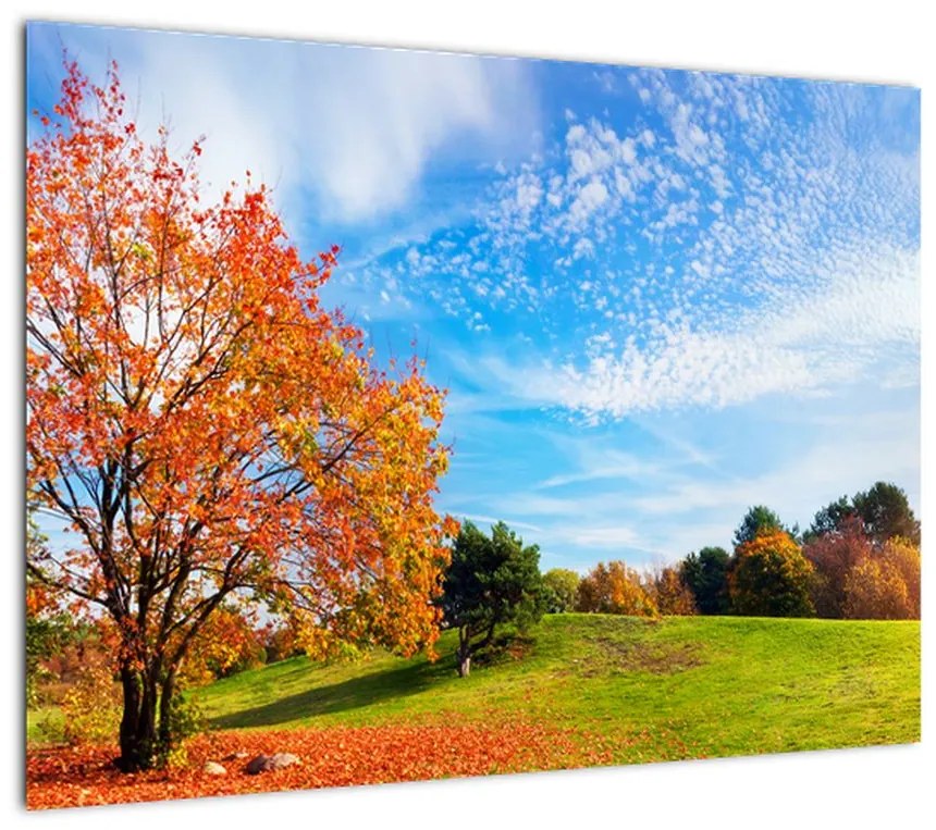 Obraz na szkle - Jesienny krajobraz (70x50 cm)