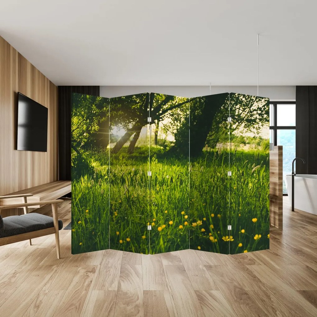 Parawan - Łąka (210x170 cm)