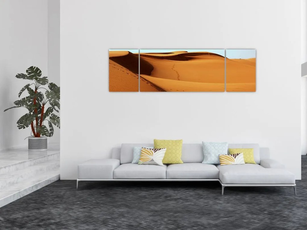 Obraz - Ślady na pustyni (170x50 cm)