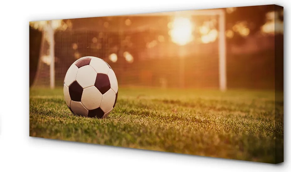Obraz na płótnie Decydujący Strzał Na Bramkę