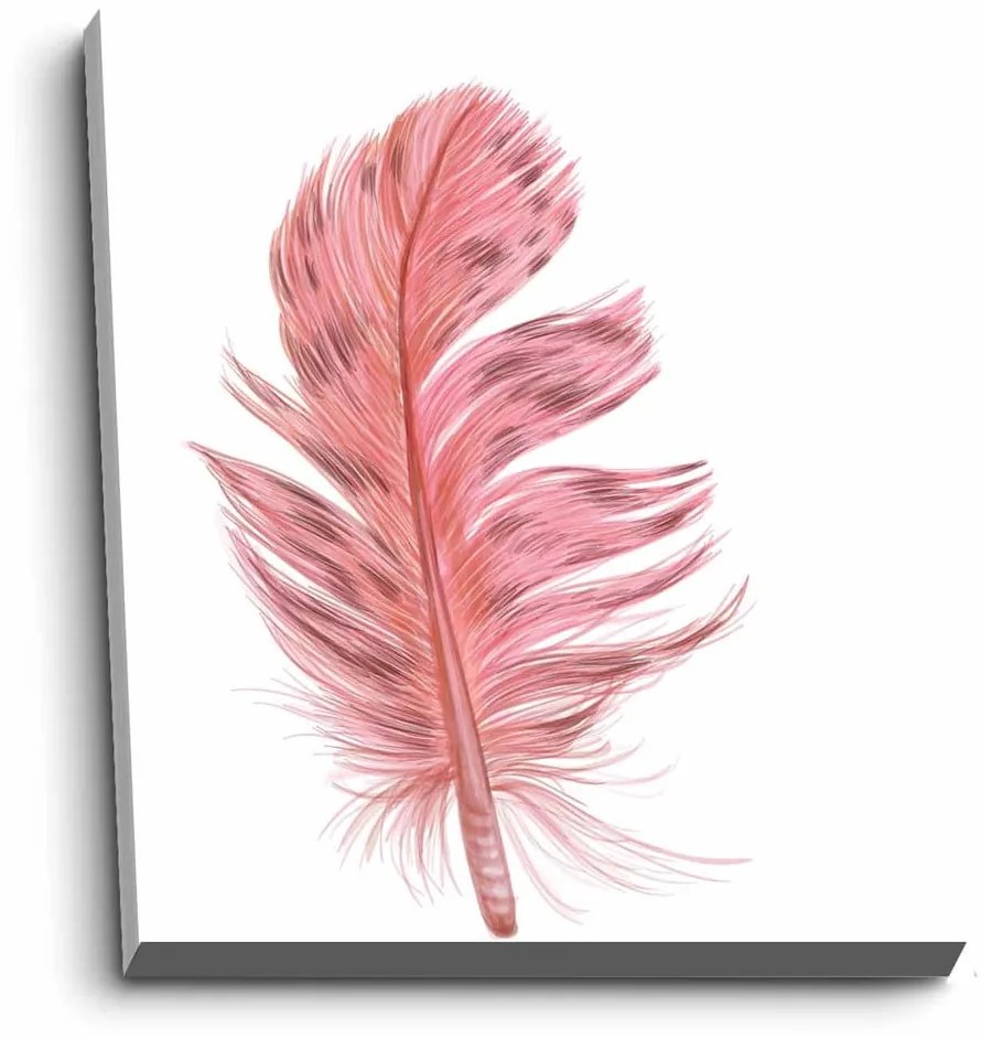 Obraz 45x70 cm Feather – Wallity