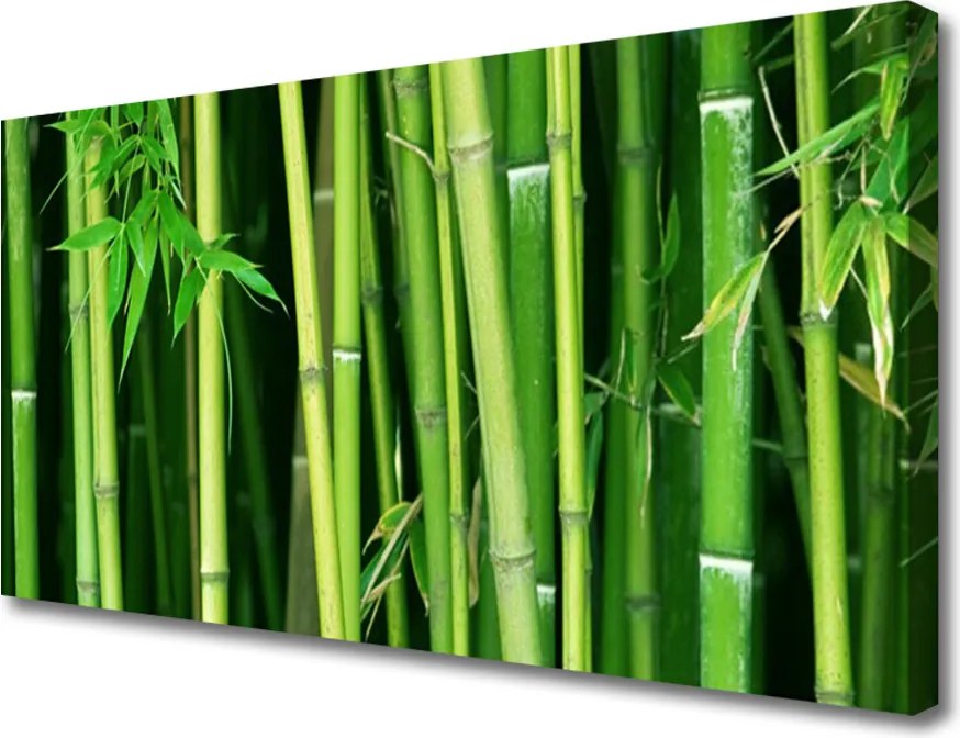 Obraz canvas Tajemniczy Las Bambusowy