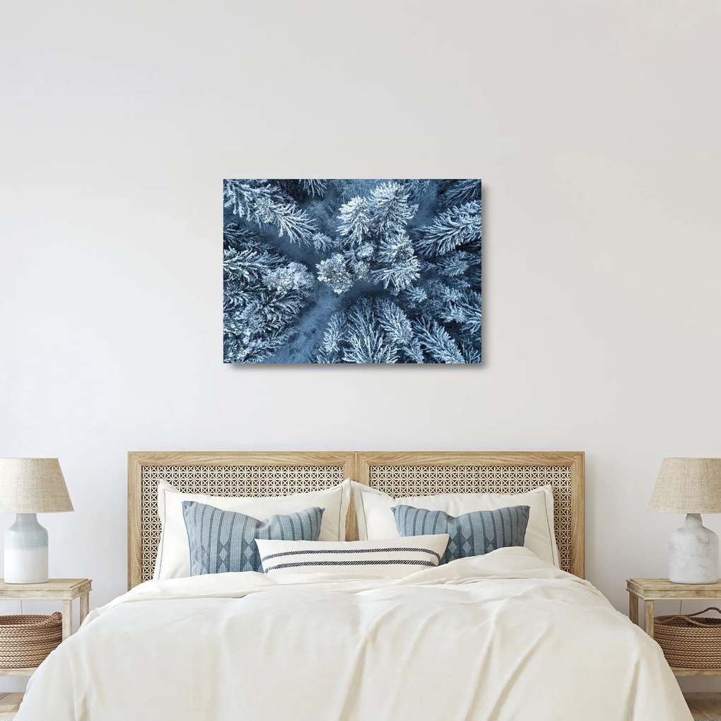 Obraz na szkle - Śnieżny las (70x50 cm)