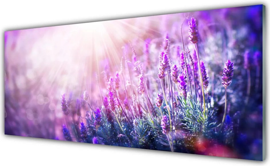 Panel Szklany Rozkwitająca Natura W Kwiatach