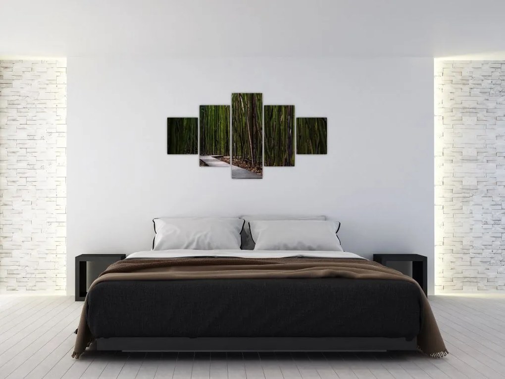 Obraz - Wśród bambusów (125x70 cm)