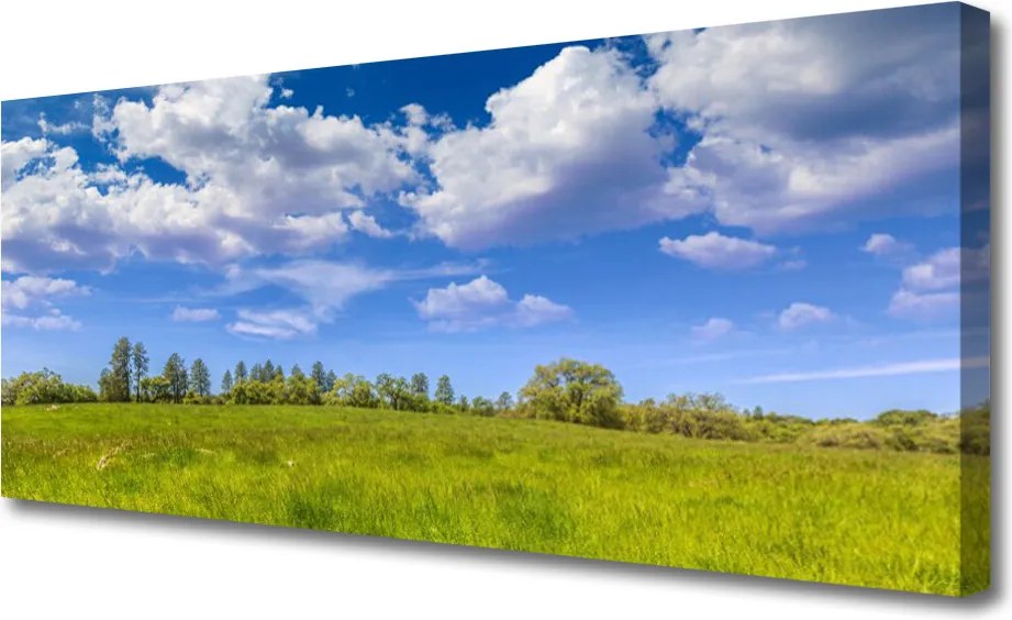Obraz canvas Bezkres Zielonej Hali