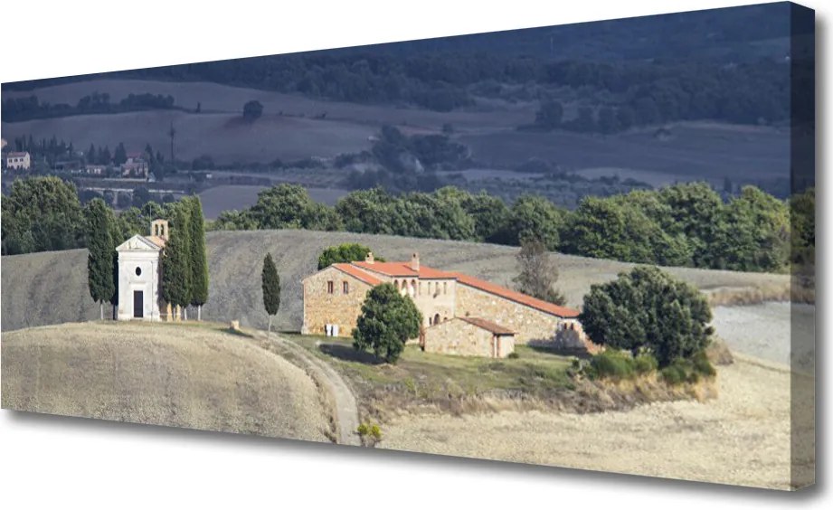 Obraz canvas na ścianę Pejzaż z Drzewami na Łące