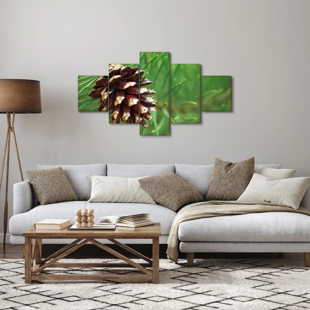 Obraz szyszki (125x70 cm)