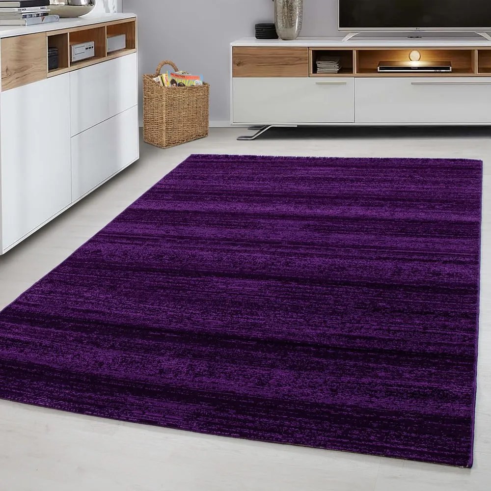 Ciemnofioletowy dywan 120x170 cm Plus – Ayyildiz Carpets