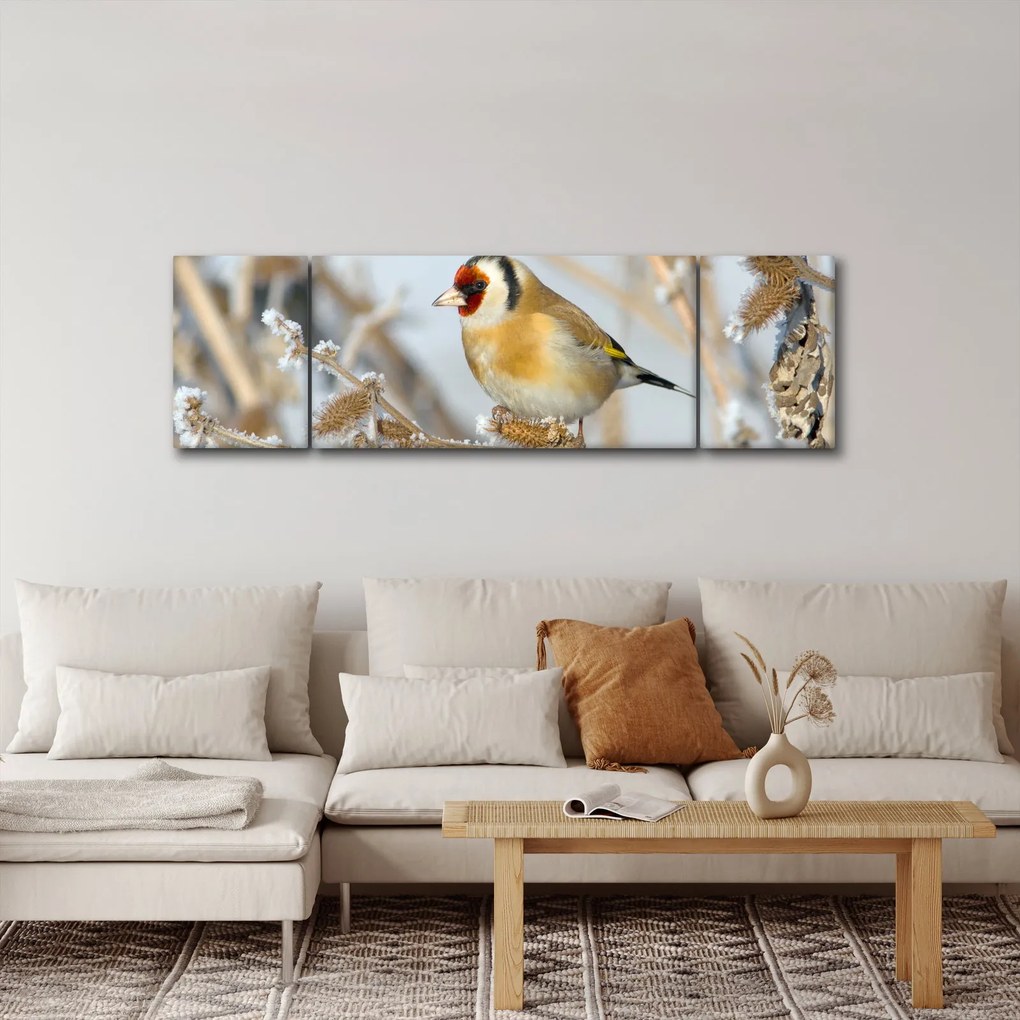 Obraz - Szczygieł (170x50 cm)