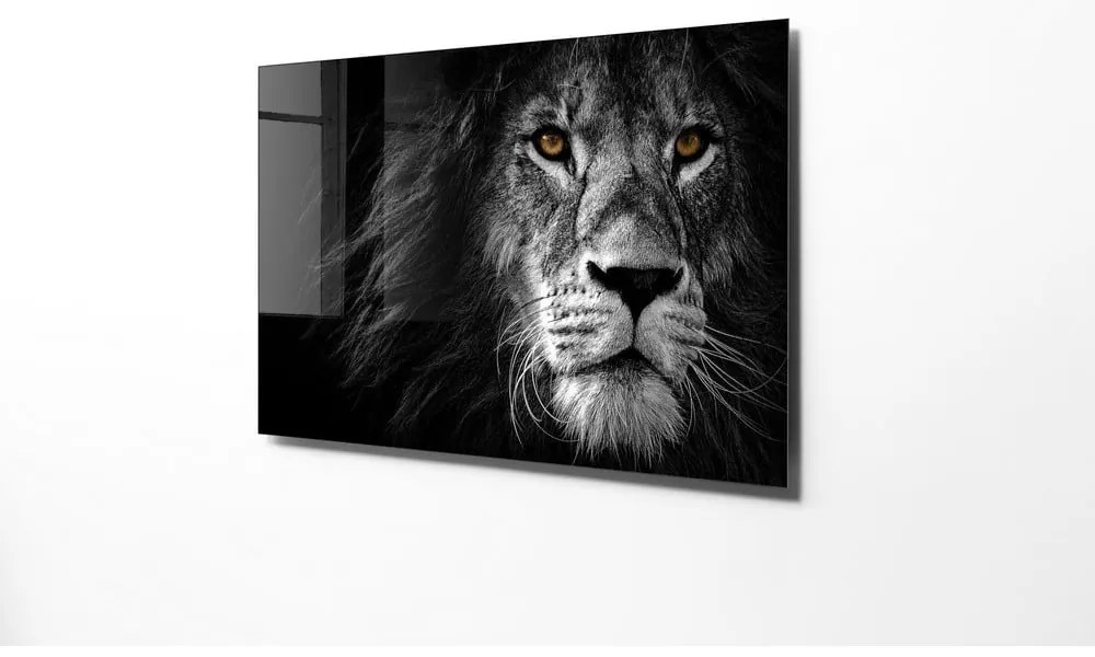 Szklany obraz 70x50 cm Lion – Wallity