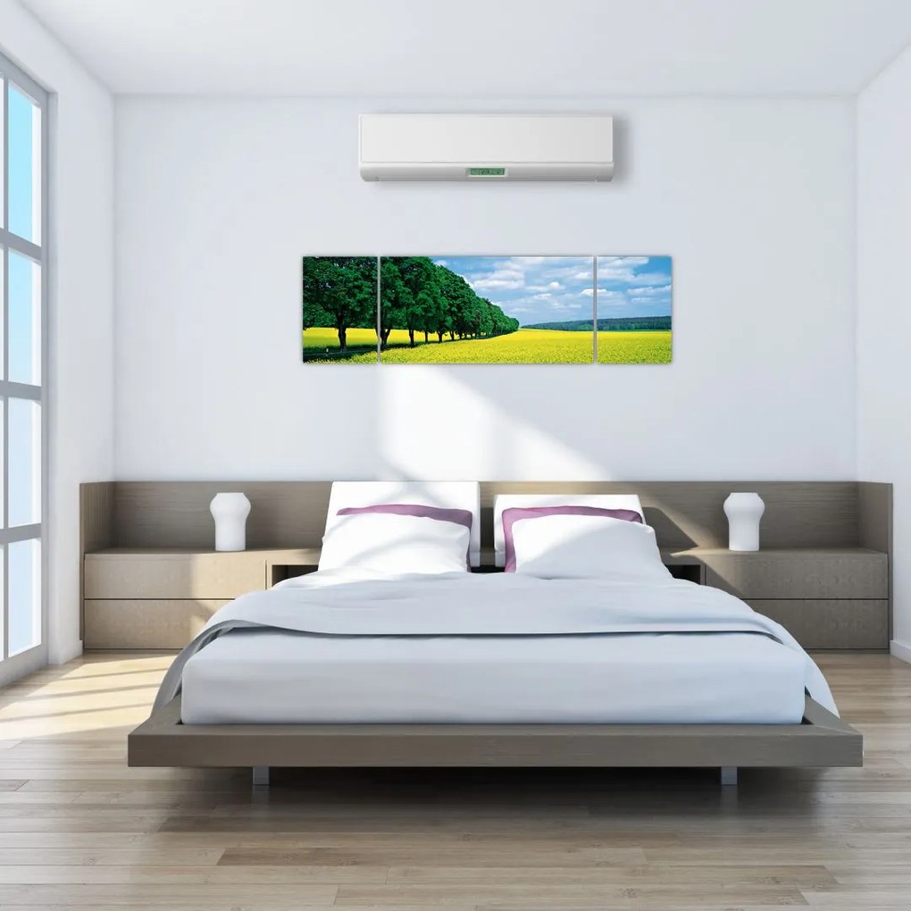 Obraz pola z aleją (170x50 cm)