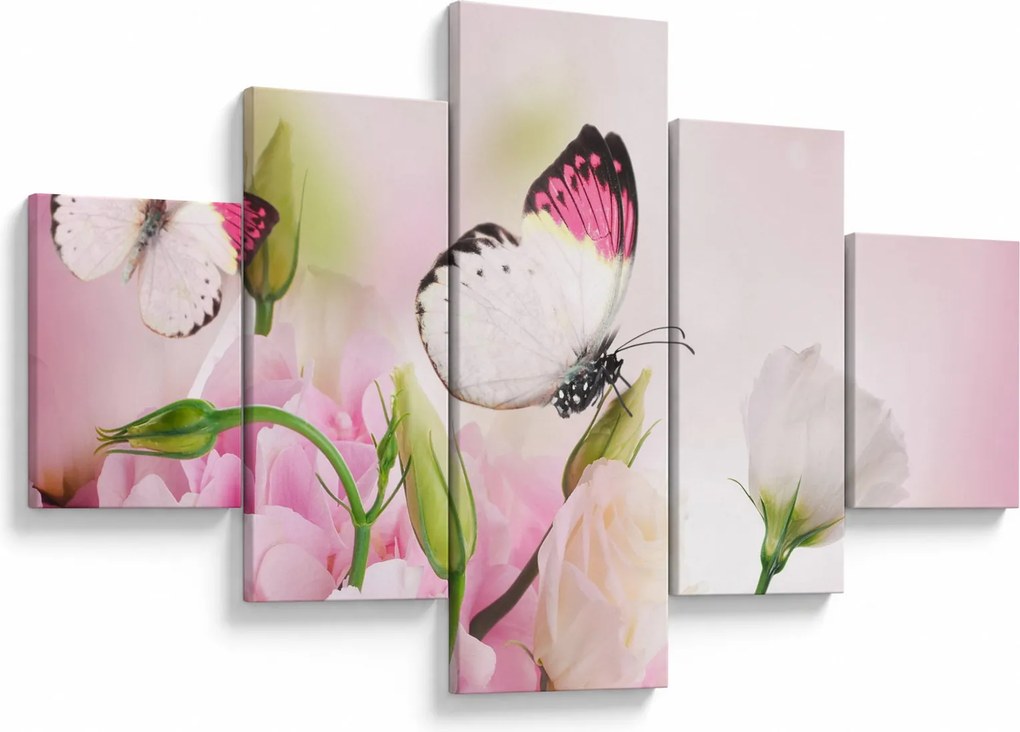 Obraz - Motyl (125x70 cm)