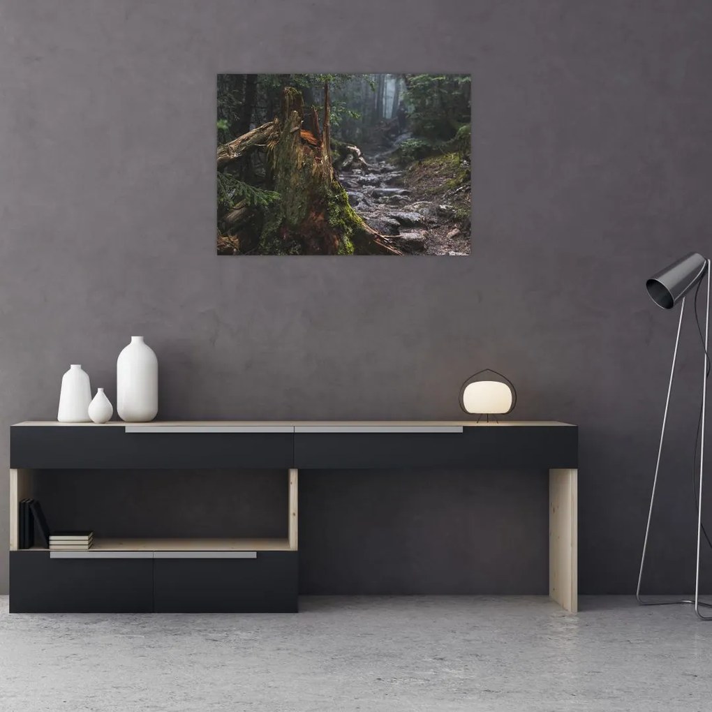 Obraz - W lesie (70x50 cm)