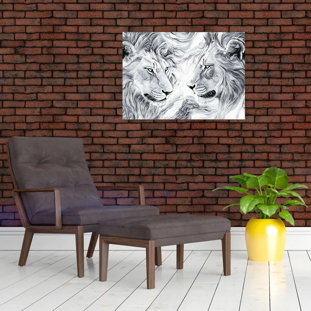 Obraz - Rysowane lwie głowy (70x50 cm)