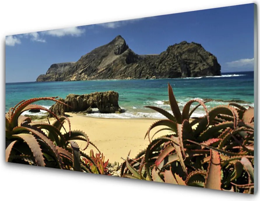 Szkło do Kuchni na Ścianę Skaliste Wybrzeże Oceanu