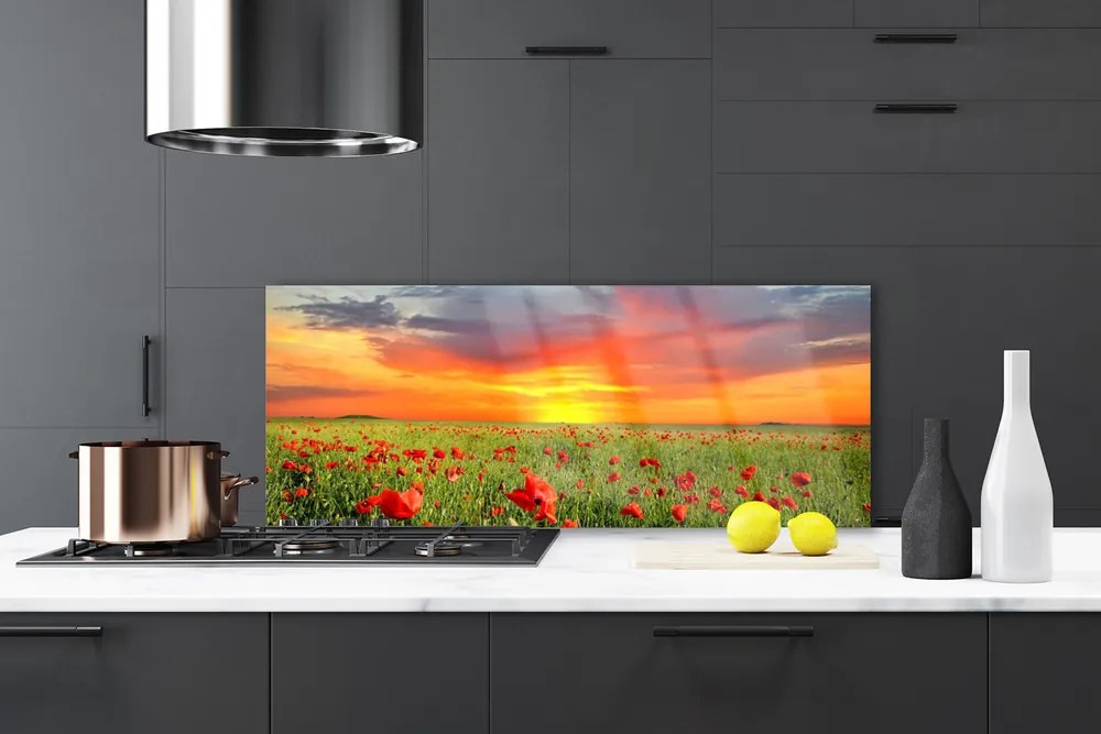 Panel Szklany Maki w Blasku Słońca