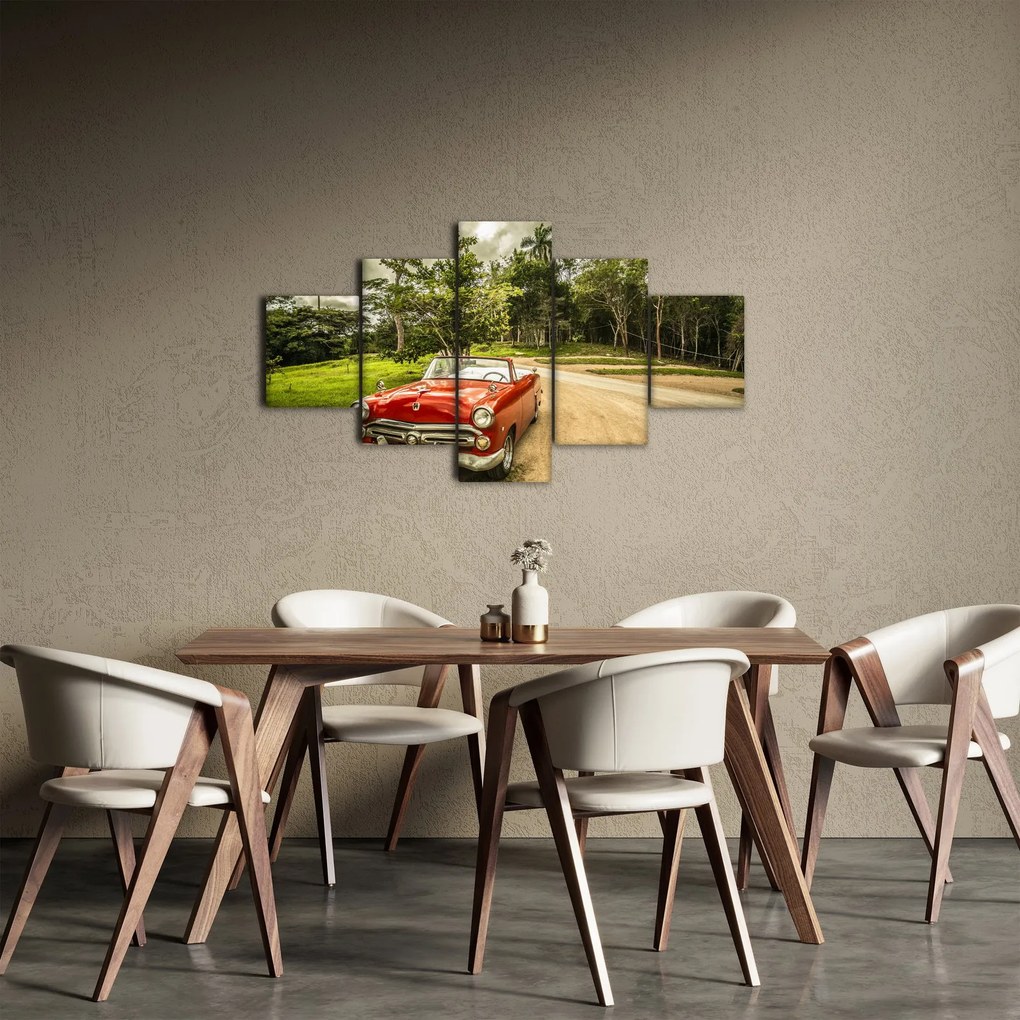 Obraz - zabytkowy samochód w przyrodzie (125x70 cm)