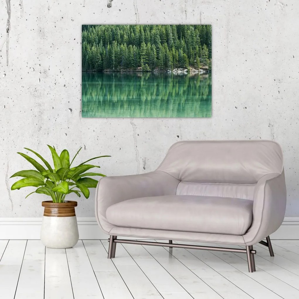Obraz - drzewa iglaste nad jeziorem (70x50 cm)