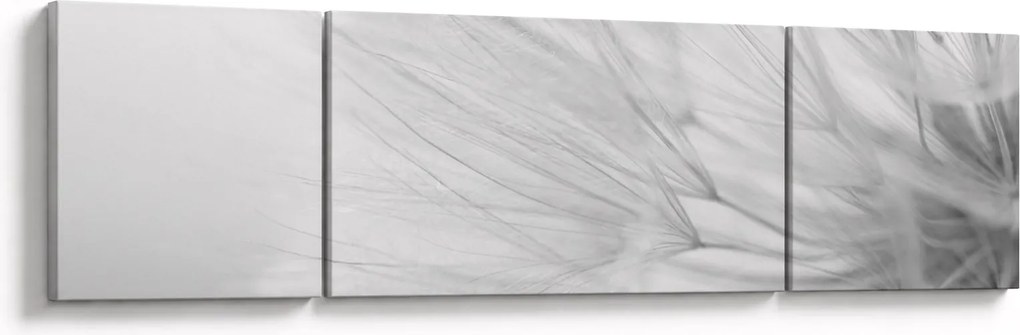 Obraz - Mniszek lekarski (170x50 cm)