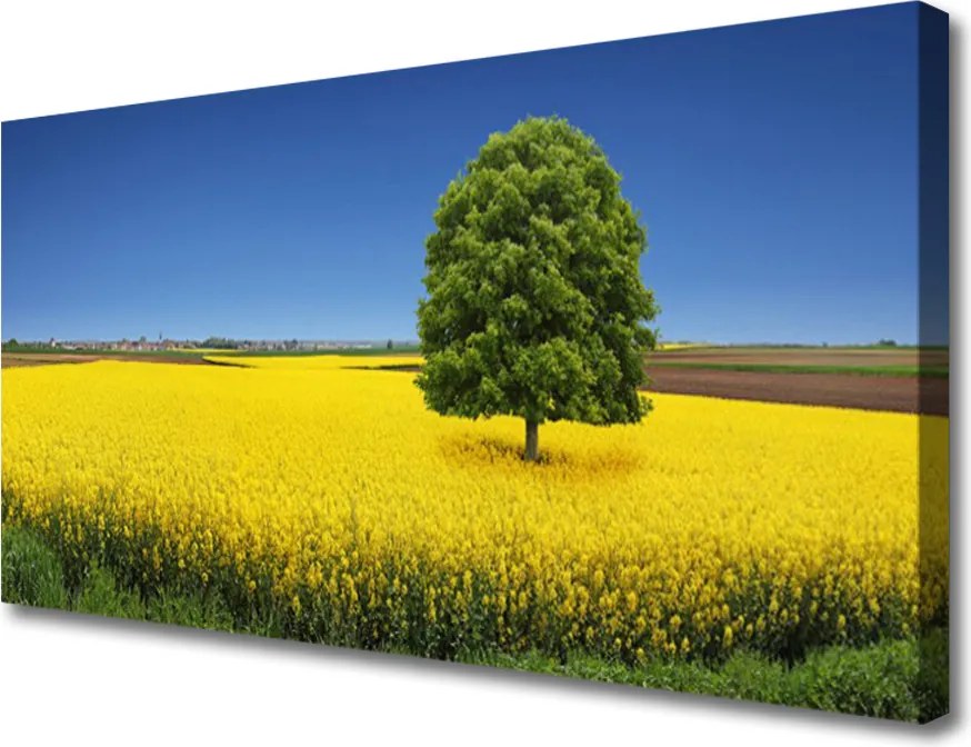 Zdjęcie na płótnie Samotne Drzewo w Polu