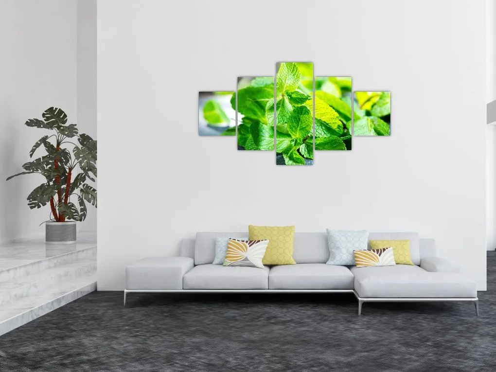 Obraz mięty (125x70 cm)