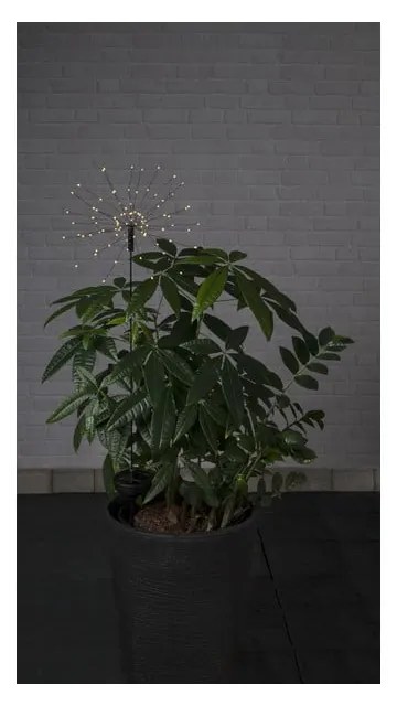 Ogrodowa lampa solarna LED z białymi diodami Star Trading Firework, wys. 100 cm