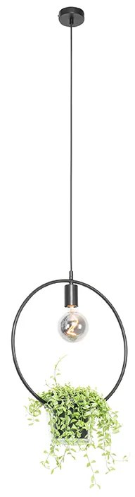 Nowoczesna lampa wisząca czarna ze szklaną okrągłą - Roslini Nowoczesny Oswietlenie wewnetrzne