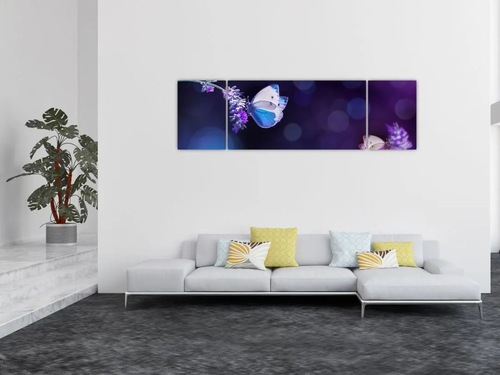Obraz - Motyle na lawendie (170x50 cm)