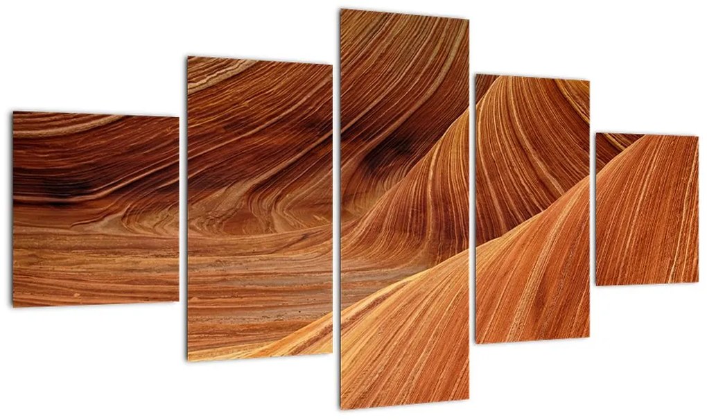 Obraz - Czerwony piasek (125x70 cm)