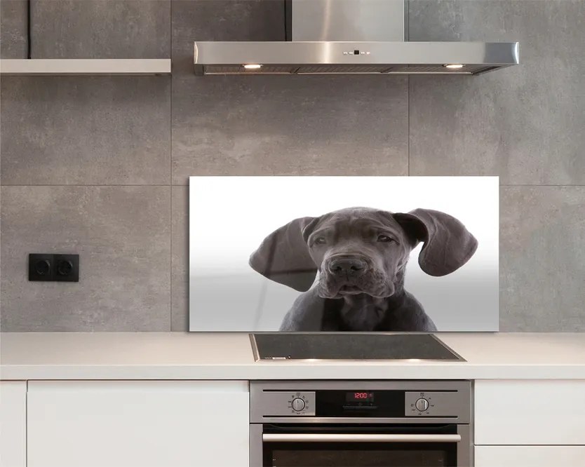 Panel szklany do Kuchni Portret Brązowego Psa