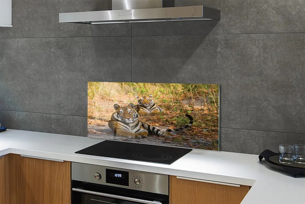 Panel szklany do Kuchni Królewska Para Tygrysów