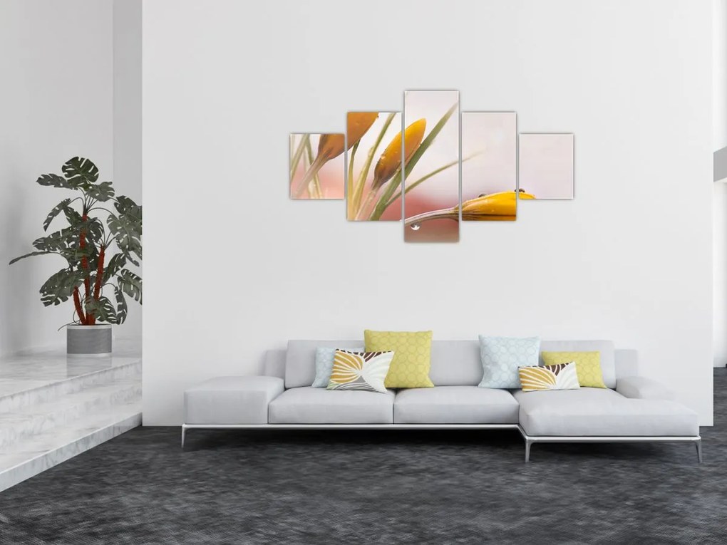 Obraz - Wiosenne kwiaty (125x70 cm)
