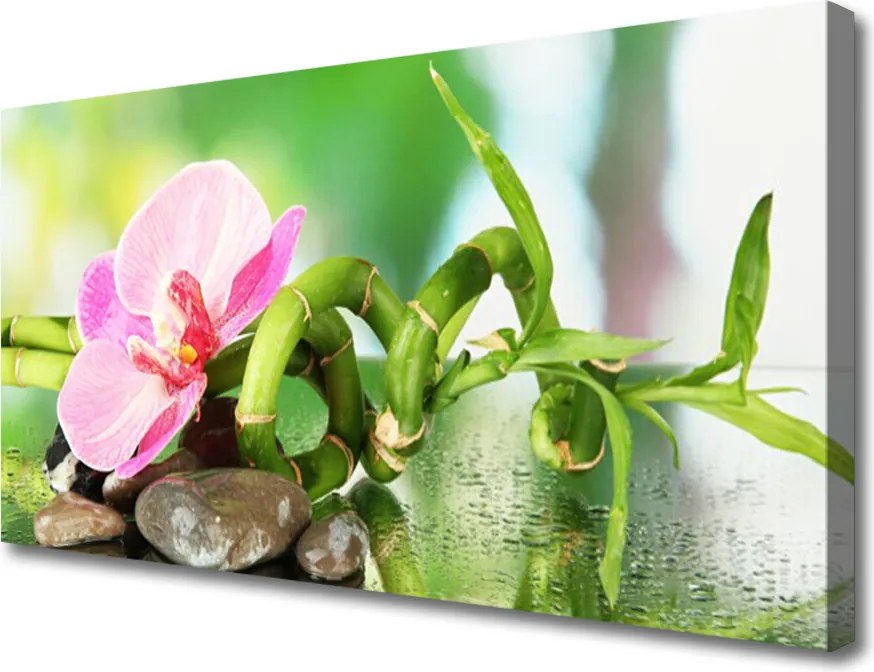 Obraz canvas na ścianę Świeże Pędy Zielonego Bambusa