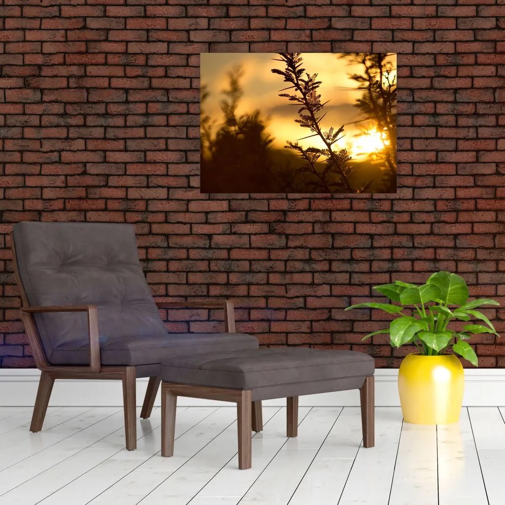 Obraz - słońce zachodzące za drzewami (70x50 cm)