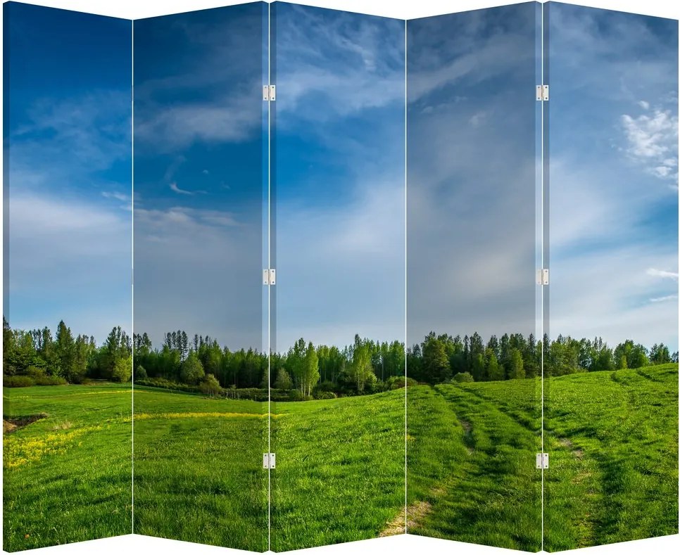 Parawan - Łąka (210x170 cm)
