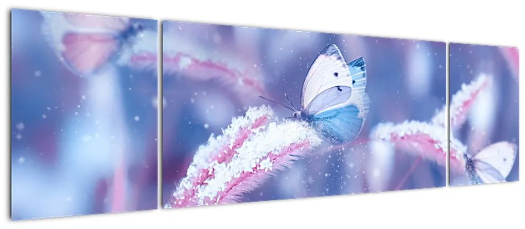 Obraz - Motyle zimą (170x50 cm)