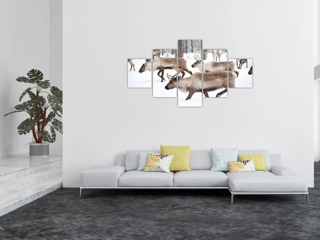Obraz - Renifer (125x70 cm)