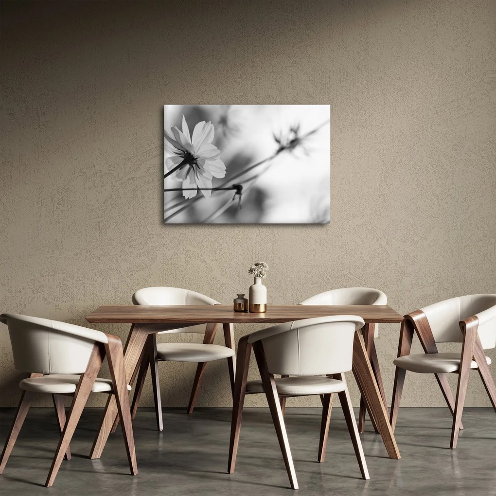 Obraz - Czarno - białe kwiaty (70x50 cm)