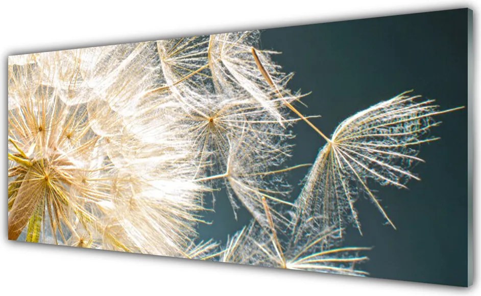 Panel Szklany do Kuchni Lekkość Mniszka Lekarskiego