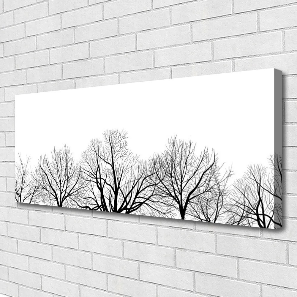 Obraz canvas Majestatyczne Drzewa w Lesie